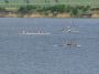 14_fruehjahrsregatta_08052004_0066